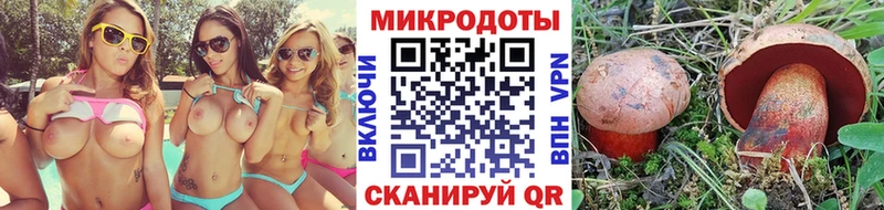 Галлюциногенные грибы ЛСД  Мостовской 